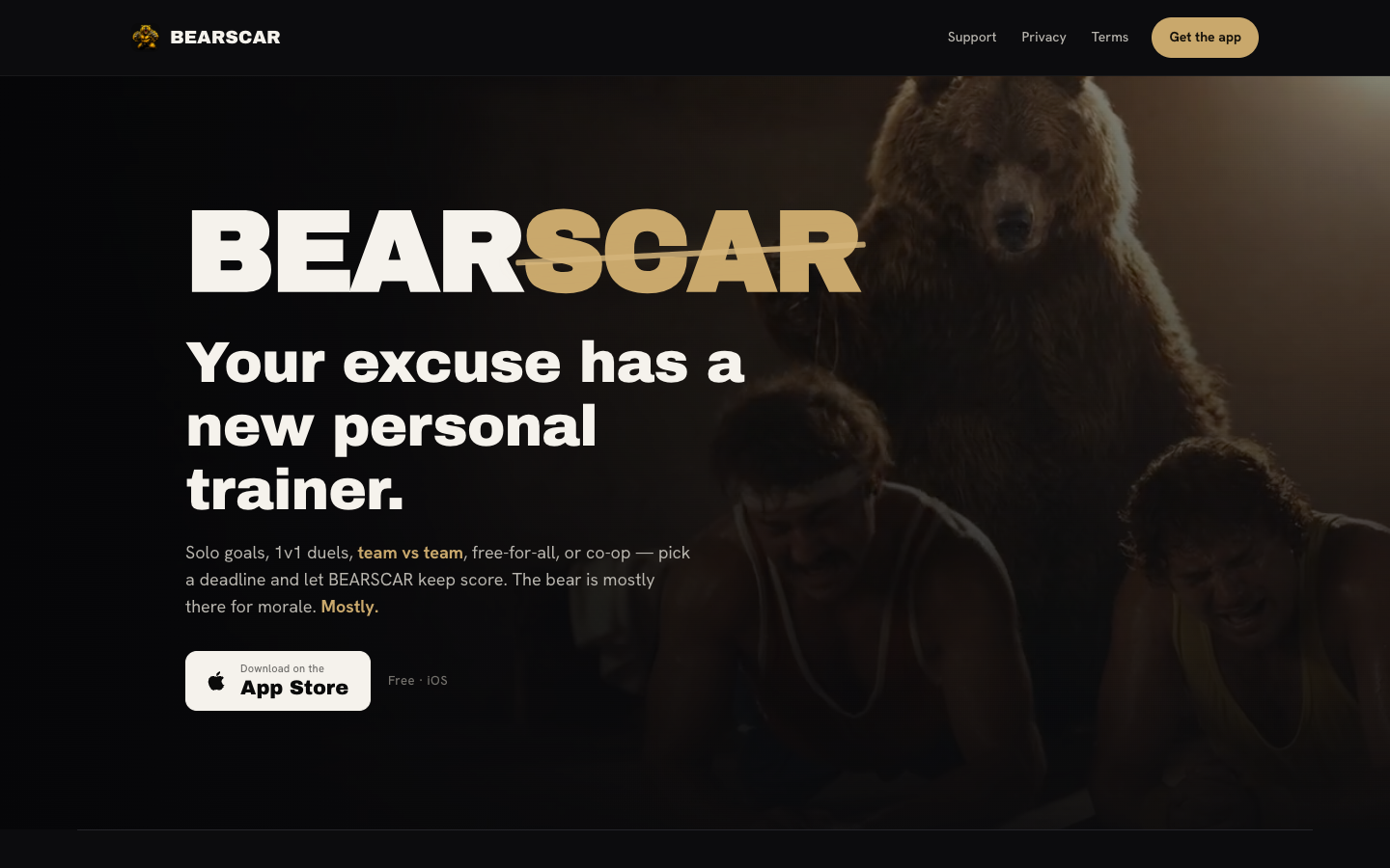 BEARSCAR — nettside med hero